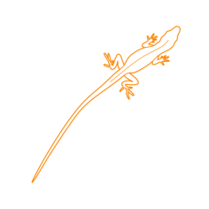Animals Lizards Green Anole Stencil Svg Vector, Free Vectors File